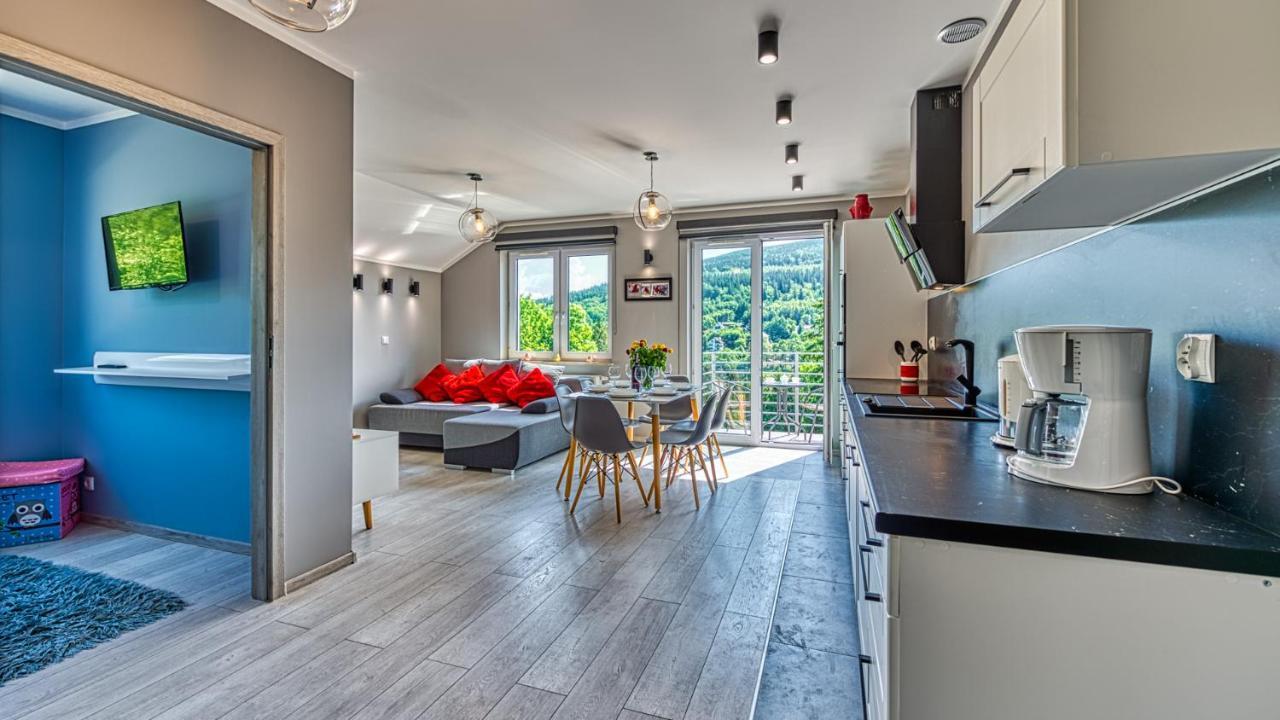 Apartament Szary Kamien W Swieradowie Zdroj - 5D Apartamenty Exteriér fotografie